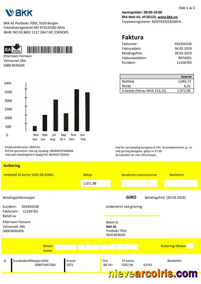 Norway BKK electricity utility bill good for address prove